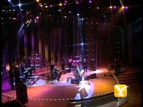 Mercedes Sosa, Entre a Mi Pago Sin Golpear, Festival de Viña 1993