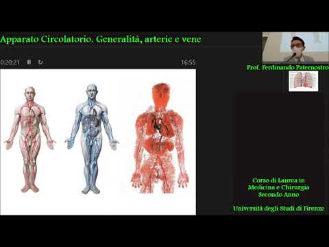 APPARATO CIRCOLATORIO  1