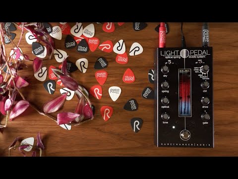 Gamechanger Audio Light Pedal | Russo Music