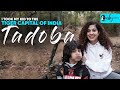 I Took My Kid To The Tiger Capital Of India Tadoba National Park Curly Tales