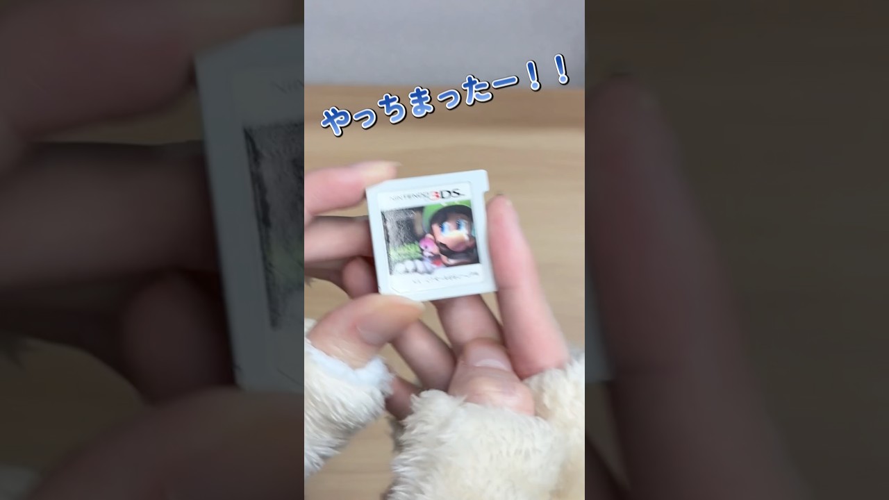 壊れたのか！？【3DS】