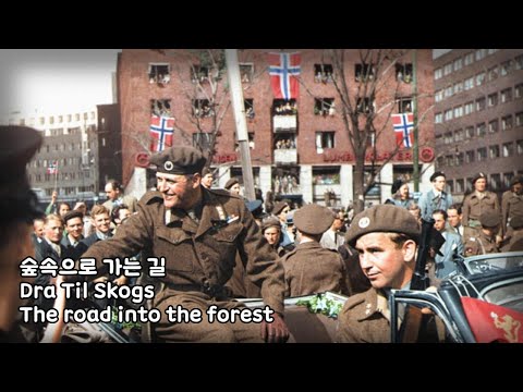 Dra Til Skogs | 숲속으로 가는 길