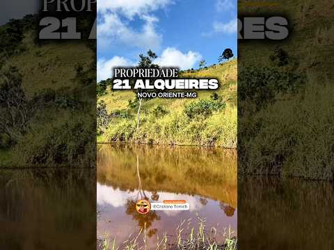 EXCELENTE PROPRIEDADE 21 ALQUEIRES NOVO ORIENTE-MG R$ 1.450.000,00 #luxo #gado #fazenda #pecuarista
