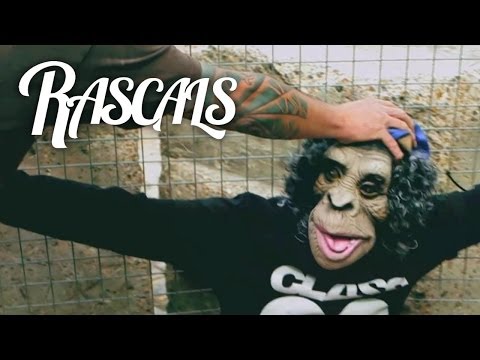 RASCALS - Ape Shit (Explicit)