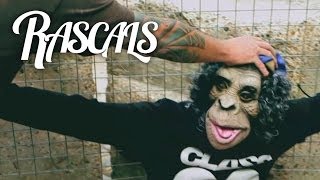 RASCALS - Ape Shit (Explicit)