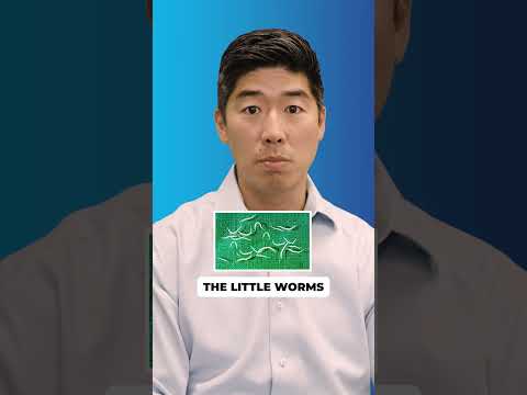 Itchy Anus? You might have Pinworms.