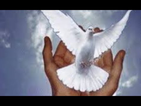A Paz, Aqui - Sergio Sachi & Grupo Espirituoso