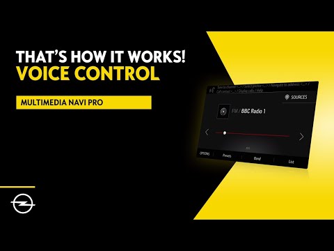 Multimedia Navi Pro - Combo - Zafira Life - Vivaro  | Voice Control | That's  How It Works!