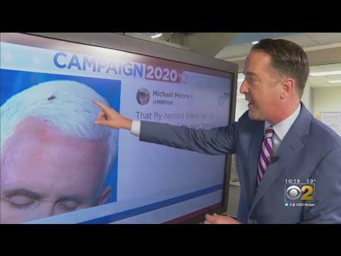 A Fly Briefly Captures Attention In Vice Presidential Debate