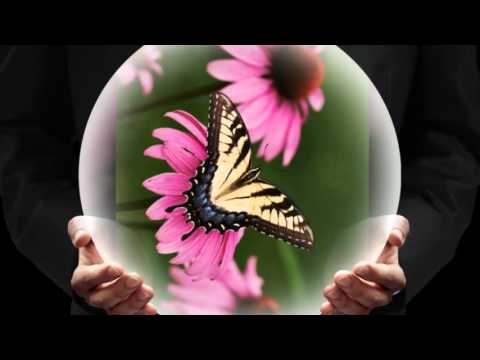 PETER NAGY - MOTÝLE ZBLÍZKA