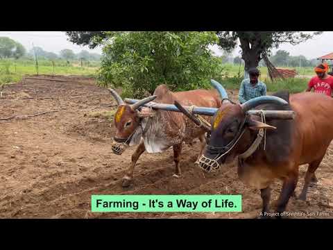 Highlights of IKIGAI FARMS - A Sustainable Farm Living Community