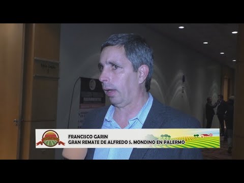 Francisco Garin - Gran remate de Alfredo S.  Mondino en Palermo
