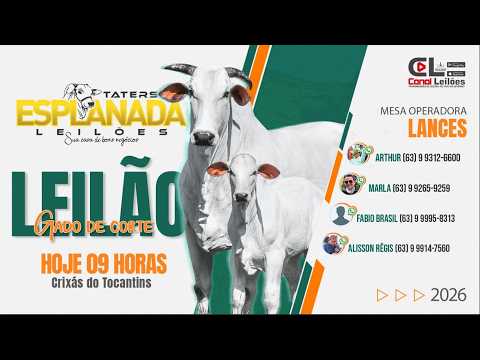 LEILÃO ESPECIAL DIA DAS MULHERES ESPLANADA LEILÕES  | Crixás do Tocantins 08/03/2026.