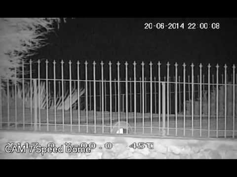 Nuova Speed Dome con Illuminatore IR - Test Notturno