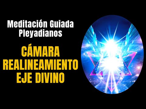 🧘GUIDED MEDITATION 🙏 DIVINE AXIS REALIGNMENT CHAMBER 🙏 ⁂18 minutes⁂🔵[PLEIADIAN Exercises Manual]