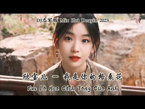 Anh - Hân Bảo Nhi (DJ し军版 Mix Hot Douyin 2023)