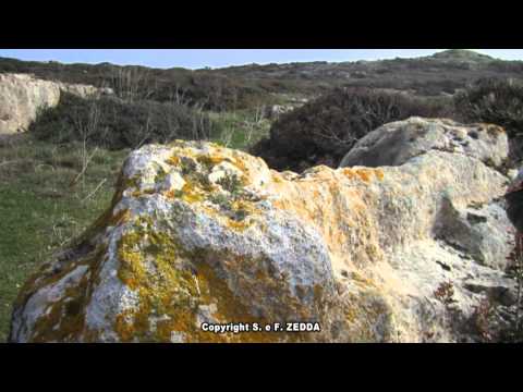 LA SFINGE ITALIANA IN SARDEGNA DI SALVATORE ZEDDA