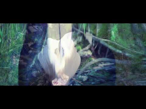 Mejz - Patrzę w górę (prod. stillDNP)