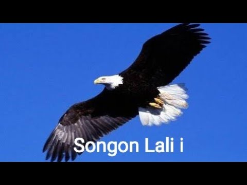 #Sadis #suara5_Batak #Rohani  [Cover]✓✓ || Dewi Guna & Franky Sihombing ||Songon Lali i [Getrio]