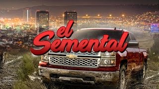 Alta consigna  - El semental 2017 (Corridos nuevos)