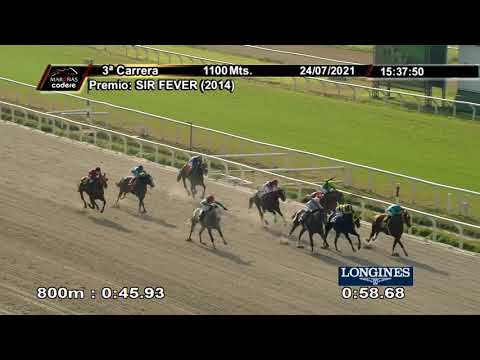 210724 c03 FORESTER P