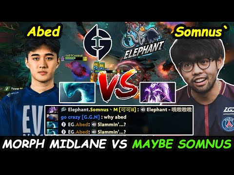 Abed Morphling vs Maybe Somnus Void Spirit  - EG ELEPHANT MIDLANE BATTLE Dota 2 pro Gameplay
