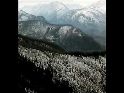 Escena de Few of Us, de Sharunas Bartas. 1996