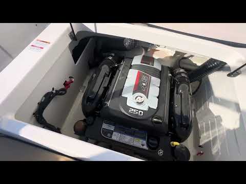 Sea Ray SPX 210 video