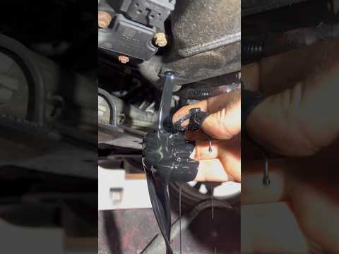 Bmw 740d oil change