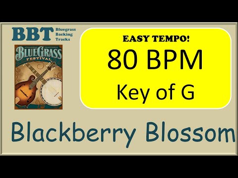 Blackberry Blossom  - bluegrass backing track 80