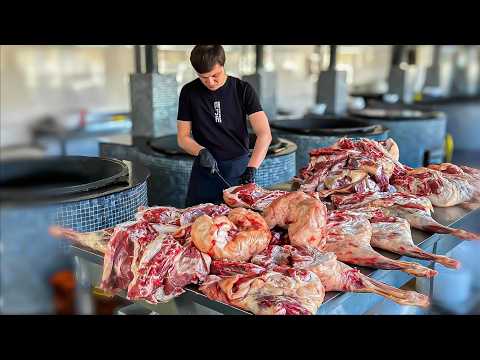 🌙✨ HOW IS A TRADITIONAL ASIAN IFTAR FOR 500+ GUESTS ORGANIZED?