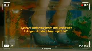 Download lagu IU BbiBbi lirik dan terjemahan mp3 Download lagu IU BbiBbi lirik dan terjemahan mp3