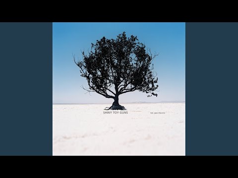 Don't Cry Out - Shiny Toy Guns