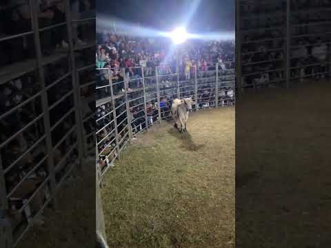 se llevo el susto de su vida, El Pedernal, Chilanga, Morazán Sur, El Salvador