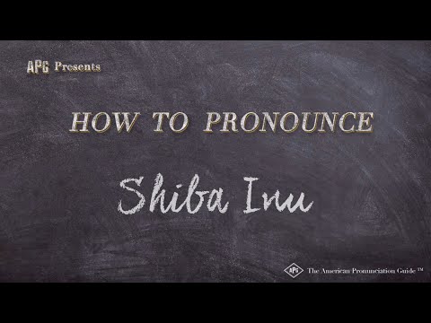 How to Pronounce Shiba Inu (Real Life Examples!)