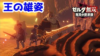【実況】定年を迎えた父を再びハイラルの大地に放り込むPart28【ゼルダ無双 厄災の黙示録】