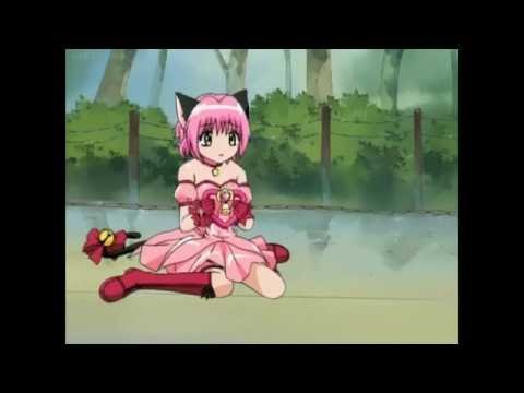 (MMA) Mew Mew Archive 001: The Mew Sailor In Town