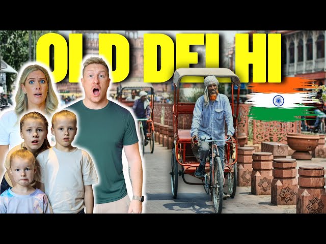 Travel vlog - They told us NOT TO go to OLD DELHI as a FAMILY (We DID) 🇮🇳