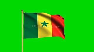 Senegal National Flag | World Countries Flag Series | Green Screen Flag | Royalty Free Footages