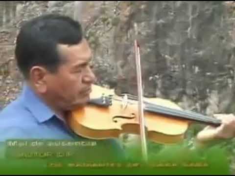 Radiantes del Sara Sara - Mal de ausencia