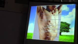 47) Dr.Sherif Zaky 8/2/2015 [Anterior Abdominal Wall Muscles]