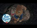 Peter Rabbit The Labyrinth Cartoons For Kids