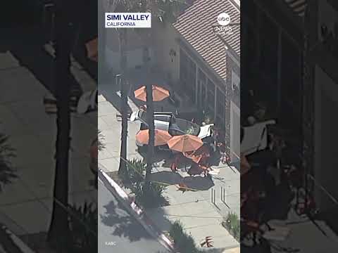 Woman killed after Tesla driver crashes into cafe’s outdoor seating