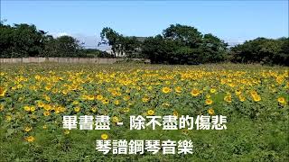 [鋼琴音樂] 畢書盡 - 除不盡的傷悲