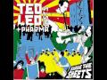 Ted Leo and the Pharmacists Walking To Do 