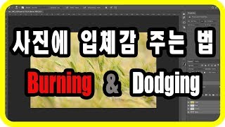 (포토샵 초급)  버닝 & 다징   Burning & Dodging