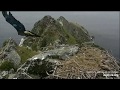 West End Bald Eagles The Day After The Gunshots 9 May 2020