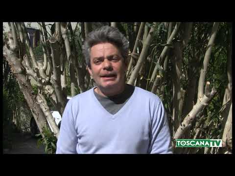 2020-04-17 FIRENZE - 4 SU 5 ARTIGIANI RICHIEDONO CASSA INTEGRAZIONE