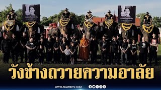วังช้างนำช้าง 10 เชือกยืนสงบนิ่ง น้อมถวายความอาลัย | ข่าวเที่ยงอมรินทร์ | 26 ต.ค. 68