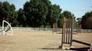 Fields & Fences course